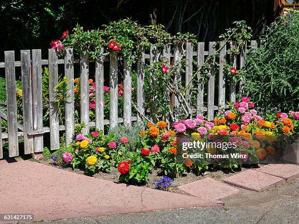 wooden fence and flowers - steccato foto e immagini stock