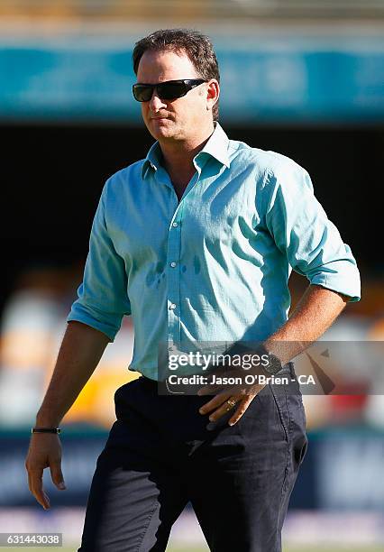 Channel 10 Commentator Mark Waugh during the Big Bash League match between the Brisbane Heat and the Perth Scorchers at The Gabba on January 11, 2017...