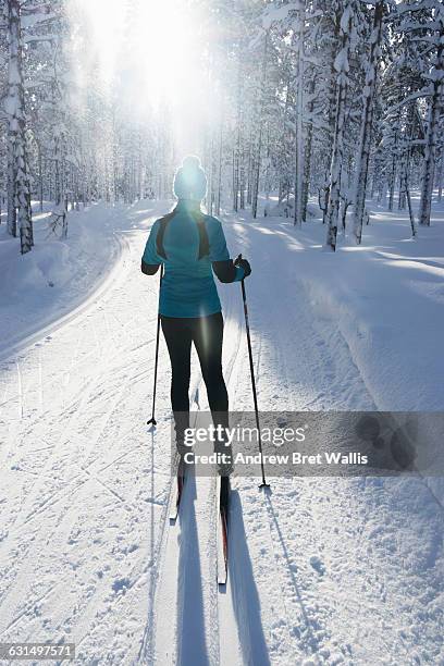 female cross country skier on a sunlit trail - women's cross country skiing - fotografias e filmes do acervo