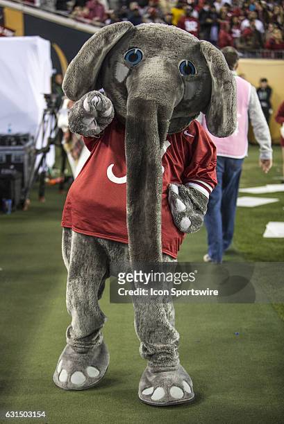 Big Al, the Alabama Crimson Tide mascot, during the College Football Playoff National Championship game between the Alabama Crimson Tide and the...