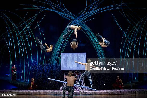 Artists from Cirque Du Soleil perform during a dress rehearsal for Cirque du Soleil's "Amaluna" at Royal Albert Hall on January 11, 2017 in London,...