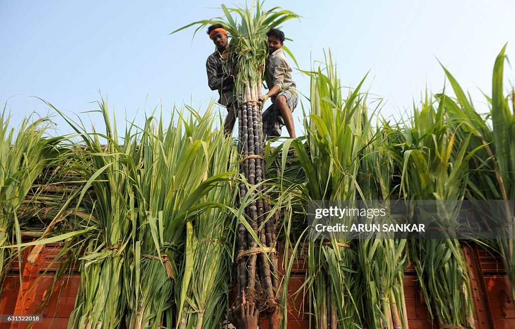 TOPSHOT-INDIA-RELIGION-HINDUISM-FESTIVAL