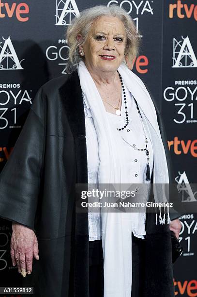 Terele Pavez attends Goya Awards Candidates 2016 Cocktail at Ritz Hotel on January 12, 2017 in Madrid, Spain.