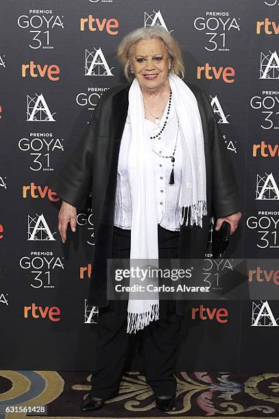 Spanish actress Terele Pavez attends the Goya cinema awards candidates 2016 cocktail at the Ritz Hotel on January 12, 2017 in Madrid, Spain.