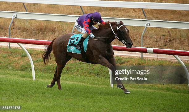 Trissie Rost 24 Trissie Stock Photos, High-Res Pictures, and Images - Getty Images