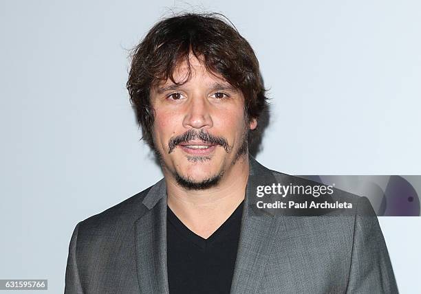 Actor Sergio Peris-Mencheta attends the FX Starwalk at the 2017 Winter TCA Tour at Langham Hotel on January 12, 2017 in Pasadena, California.
