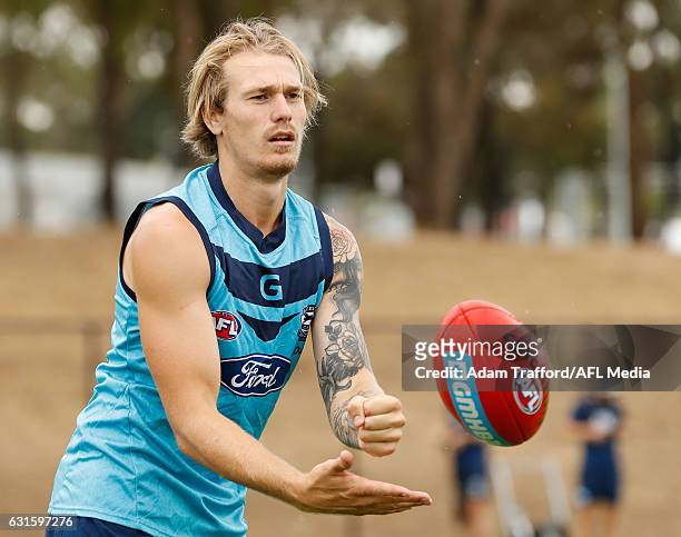 Tom Stewart of the Cats in action during the Geelong Cats training session at Deakin University, Waurn Ponds on January 13, 2017 in Geelong Australia.
