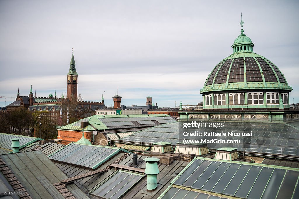 The Ny Carlsberg Glyptotek