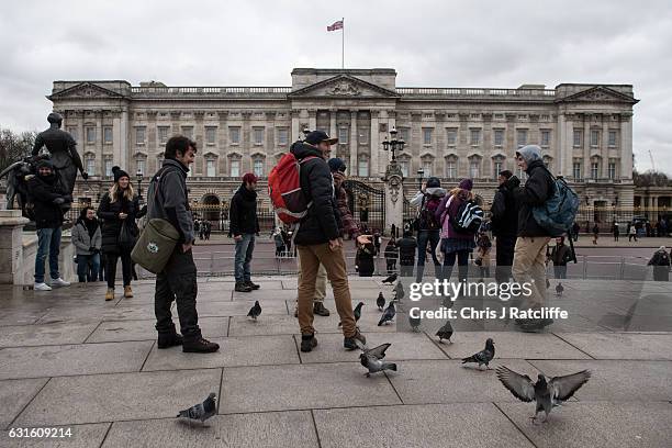 Tourists feed pigeons in front of Buckingham Palace on January 13, 2017 in London, England. Since the EU referendum when Britain voted to leave the...