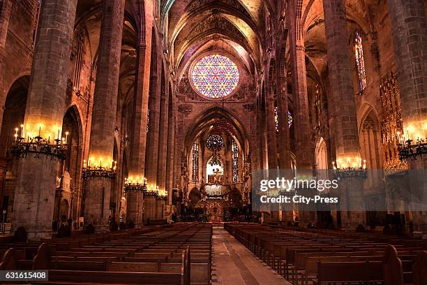 Cathedral of Palma during the training camp on January 13, 2017 in Palma de Mallorca, Spain.