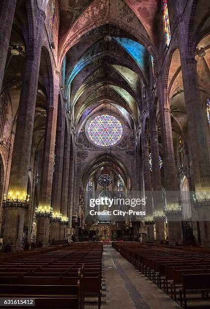 Cathedral of Palma during the training camp on January 13, 2017 in Palma de Mallorca, Spain.