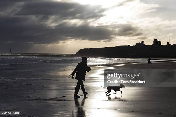 Woman exercises her dog at dawn on Tynemouth Beach under the shadow of Tynemouth Castle on January 13, 2017 in Tynemouth United Kingdom. Strong...