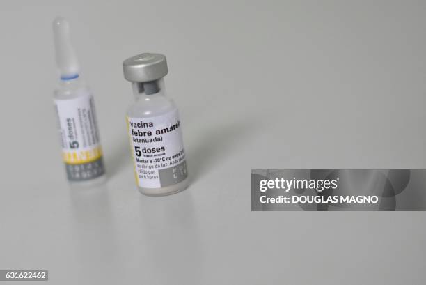 People line up to receive the yellow fever vaccine at a public health post in Caratinga, in the southeastern state of Minas Gerais, Brazil, on...
