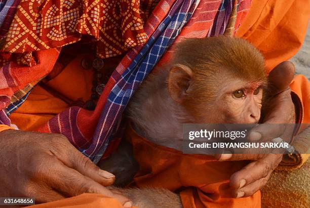 An Indian sadhu - Hindu holy man -- offers his cigarette to his pet monkey as he waits to take a holy bath in the Bay of Bengal and perform rituals...