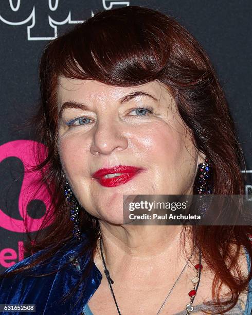 Producer Allison Anders attends the premiere screening of Lifetime Television's "Beaches" at Regal LA Live Stadium 14 on January 13, 2017 in Los...