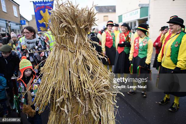 One of the three Straw Bears is led past a team of dancers during the annual Whittlesea Straw Bear Festival parade on January 14, 2017 in Whittlesey,...