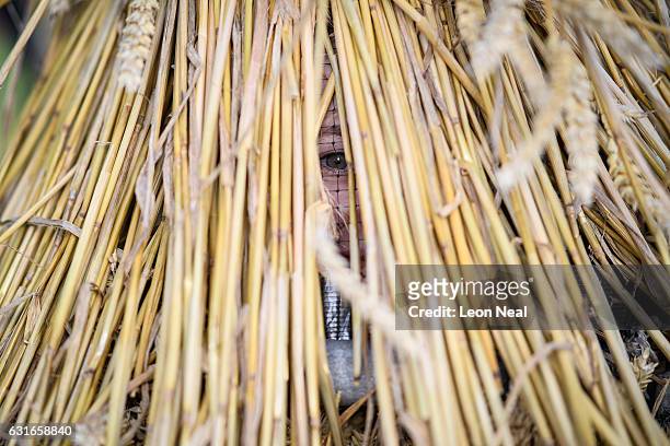 Grace Randall stands in her Straw Bear costume following the annual Whittlesea Straw Bear Festival parade on January 14, 2017 in Whittlesey, United...