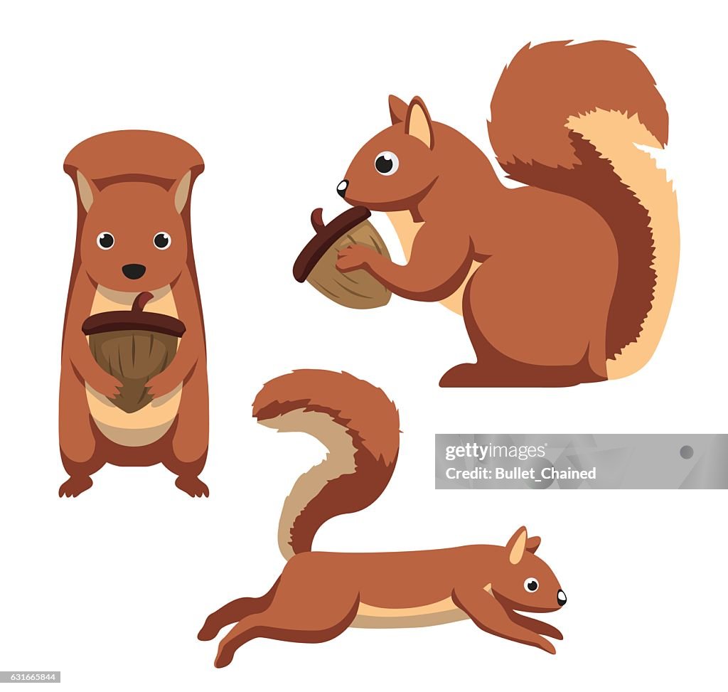 Cute Squirrel Cartoon Vector Illustration High-Res Vector Graphic - Getty  Images