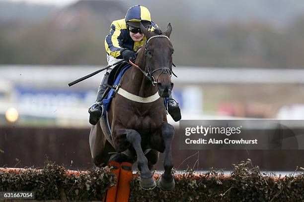 David Bass riding Willoughby Court clear the last to win The Neptune Investment Management Novices' Hurdle Race at Warwick Racecourse on January 14,...