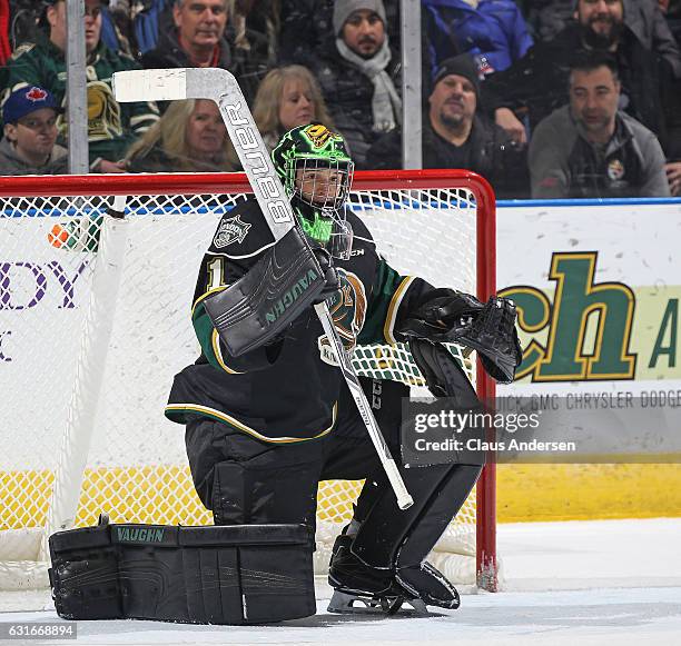 Tyler Parsons of the London Knights takes a breather against the Saginaw Spirit during an OHL game at Budweiser Gardens on January 13, 2017 in...