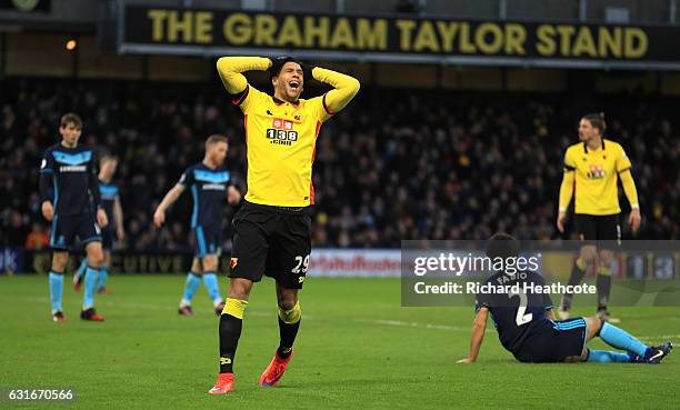 Etienne Capoue of Watford reacts during the Premier League match between Watford and Middlesbrough at Vicarage Road on January 14, 2017 in Watford,...