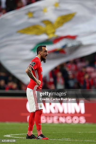 Benfica's forward Kostas Mitroglou from Greece during the match between SL Benfica and Boavista FC for the Portuguese Primeira Liga at Estadio da Luz...