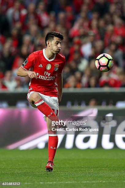 Benfica's forward Pizzi from Portugal during the match between SL Benfica and Boavista FC for the Portuguese Primeira Liga at Estadio da Luz on...