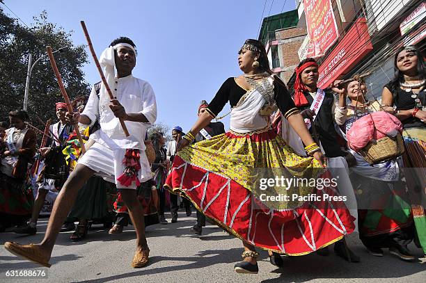 Nepalese Tharu community woman dance in a traditional attire during parade of the Maghi festival celebrations, or the New Year of the Tharu...