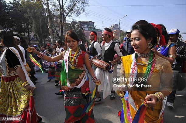 Nepalese Tharu community woman dance in a traditional attire during parade of the Maghi festival celebrations, or the New Year of the Tharu community...