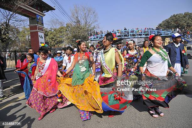 Nepalese Tharu community woman dance in a traditional attire during parade of the Maghi festival celebrations, or the New Year of the Tharu...