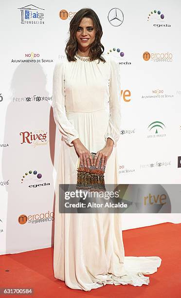 Spanish actress Macarena Gomez attends the Jose Maria Forque Awards 2016 at Teatro de la Maestranza on January 14, 2017 in Seville, Spain.