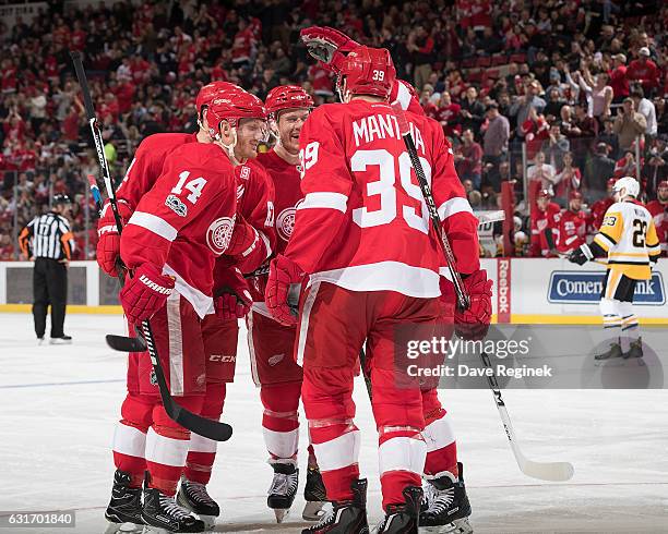 Gustav Nyquist of the Detroit Red Wings celebrates his goal with teammates Anthony Mantha, Thomas Vanek and Nick Jensen during an NHL game against...