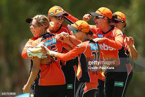 Piepa Cleary and Katherine Brunt of the Scorchers celebrate the wicket of Meg Lanning of the Stars during the Women's Big Bash League match between...