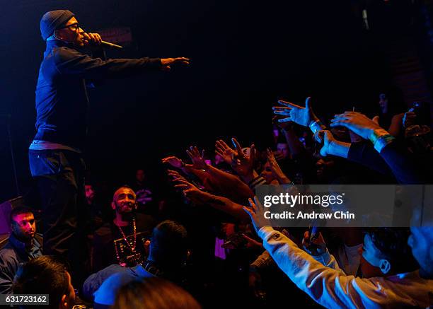 221 Female Gangster Rappers Stock Photos, High-Res Pictures, and Images ...