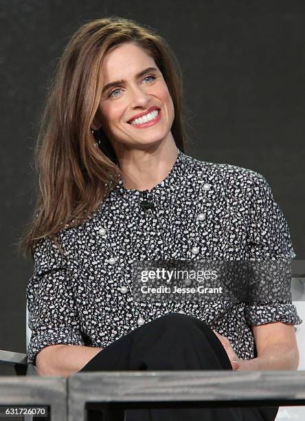 Actress Amanda Peet speaks onstage during the IFC presentation of Brockmire and Portlandia on January 14, 2017 in Pasadena, California.