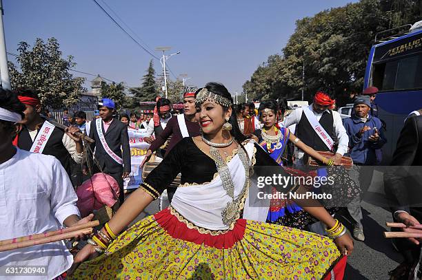 Nepalese Tharu community woman dance in a traditional attire during prade of the Maghi festival celebrations, or the New Year of the Tharu community...