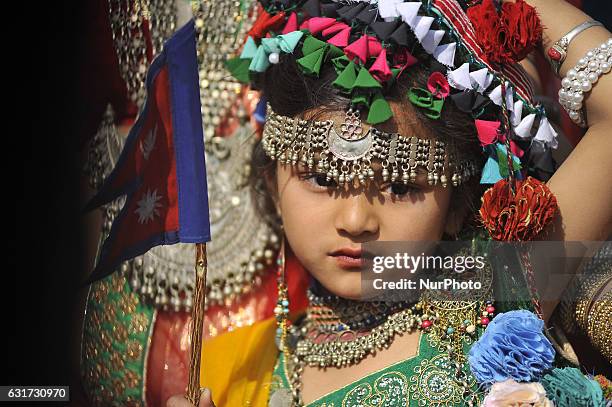 Little Nepalese Tharu community girl in a traditional attire hold national flag of Nepal during prade of the Maghi festival celebrations, or the New...