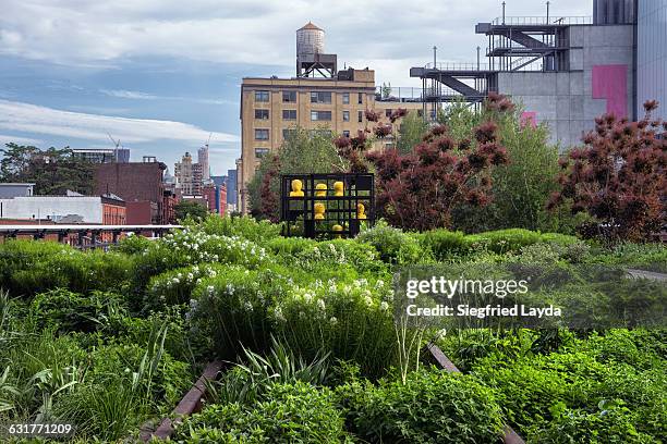 high line park - high line stock pictures, royalty-free photos & images