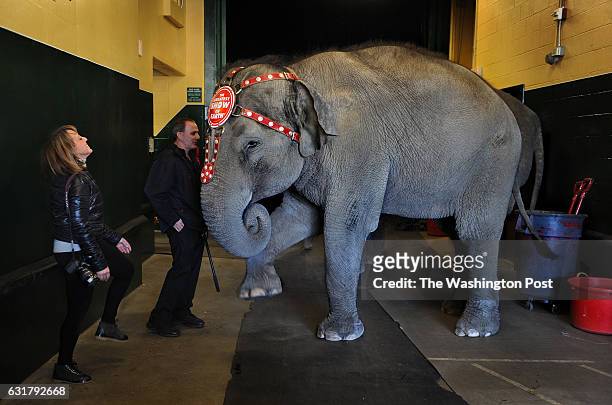 Bonnie Feld sings and stomps in time with Mable the elephant while Mable was waiting backstage before a performance at the EagleBank Arena in...