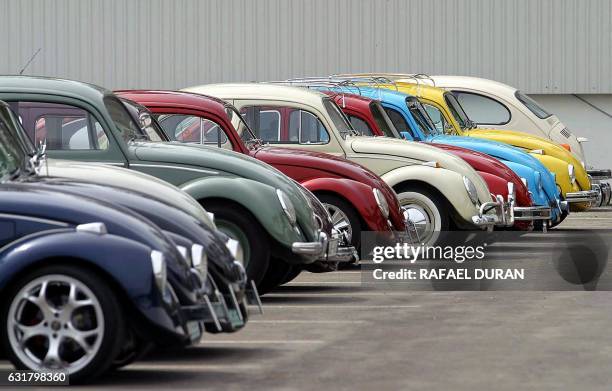 More than 140 Volkswagen Beetle were gathered to participate in an exhibition at the factory in Puebla, Mexico, 01 August 2003. Volkswagen said that...