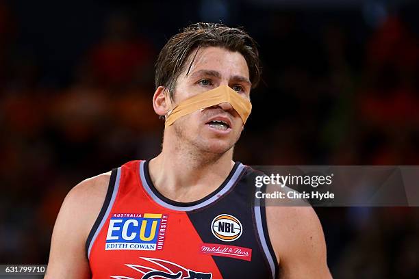 Damian Martin of the Wildcats looks on during the round 15 NBL match between the Cairns Taipans and the Perth Wildcats at Cairns Convention Centre on...