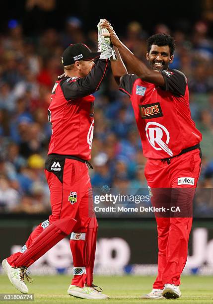 Aaron Finch and Thisara Perera of the Melbourne Renegades celebrates the wicket of Jono Dean of the Adelaide Strikers during the Big Bash League...