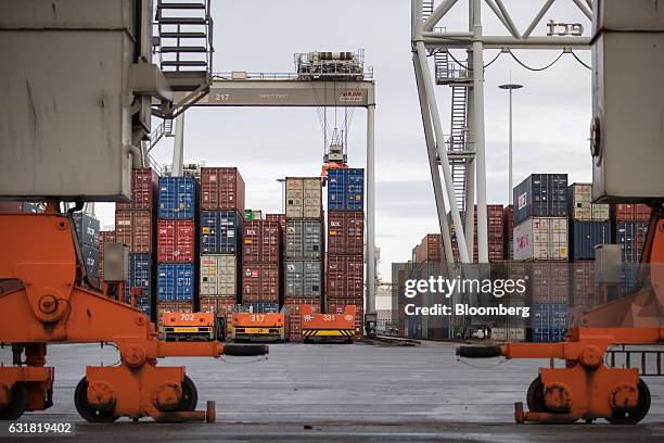 22 Cargo Shipping Operations At Ect Delta And Euromax Terminals Stock ...