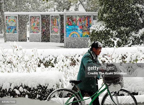 Man pushes his bicycle as snow falls in wider area on January 15, 2017 in Hiroshima, Japan. The Meteorological Agency is warning many parts of Japan,...