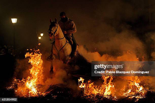 Man rides a horse through a bonfire during 'Las Luminarias' Festival on January 16, 2017 in San Bartolome de Pinares, Spain. In honor of Saint...