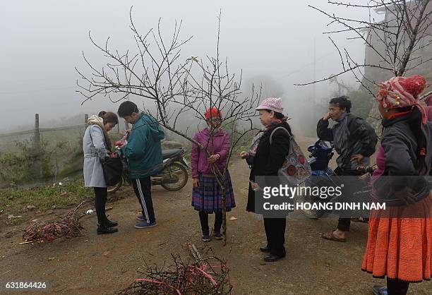 This picture taken on January 15, 2017 shows a Hanoi resident bargaining while attempting to buy a peach blossom from a H'mong hilltribe woman at a...