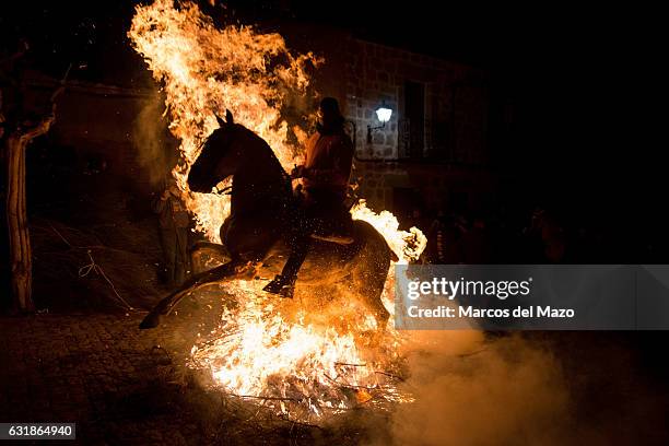 Man rides a horse through a bonfire during 'Las Luminarias' Festival for Saint Antony the Abbot, patron of animals. Horses jump through bonfires on...