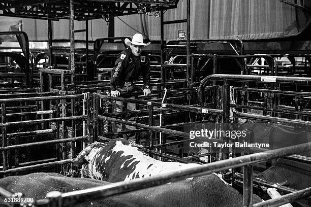 Buck Off at the Garden: Closeup portrait of Guilherme Marchi with bulls during photo shoot before event at Madison Square Garden. Behind the Scenes....