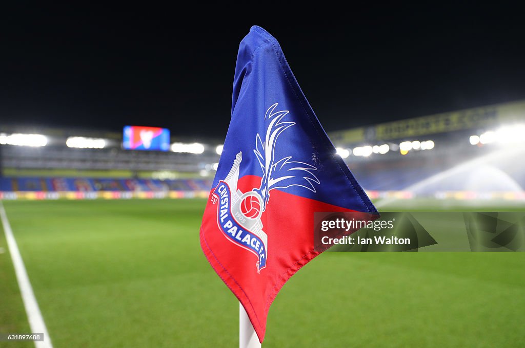 Crystal Palace v Bolton Wanderers - The Emirates FA Cup Third Round Replay