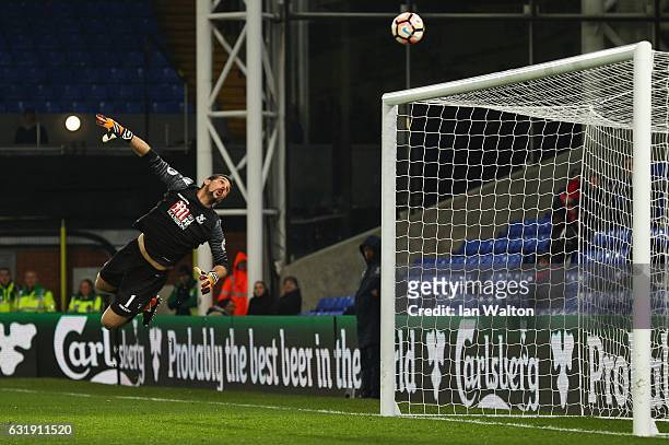 Julian Speroni of Crystal Palace watches as the ball goes in for Bolton first goal during the Emirates FA Cup third round replay between Crystal...